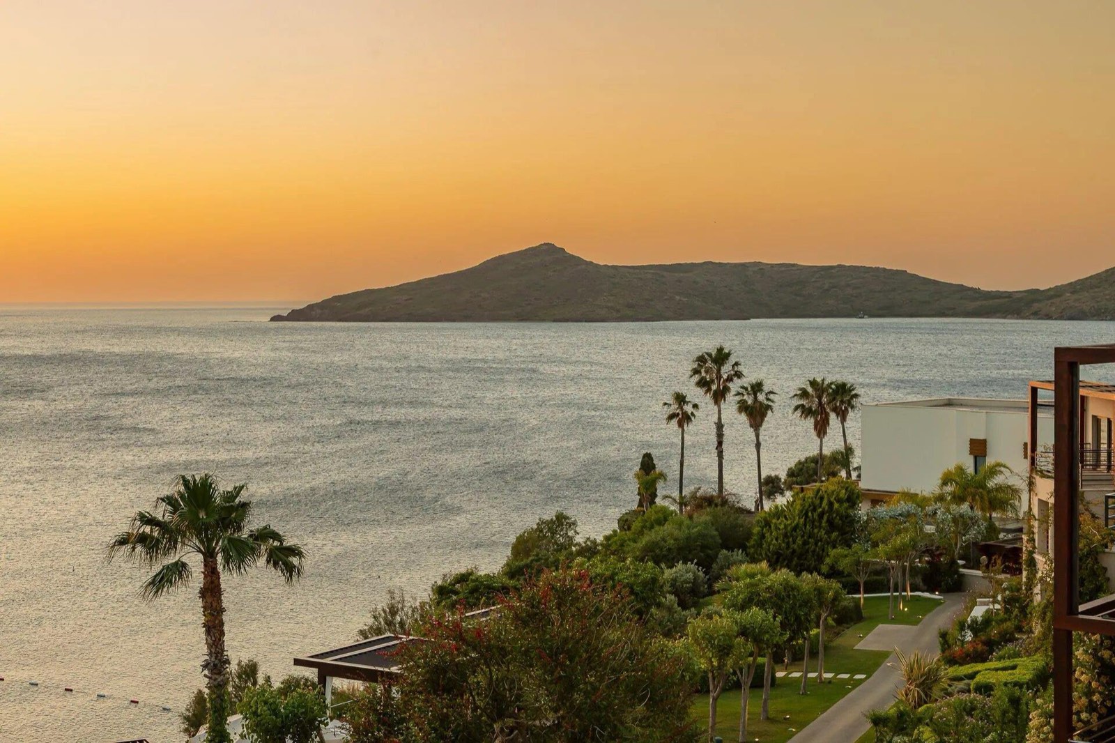 Allium Bodrum