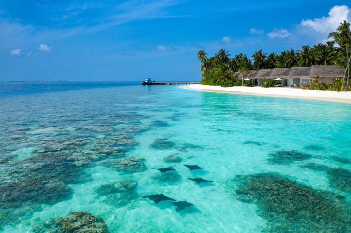Baglioni Resort Maldives — фото 2