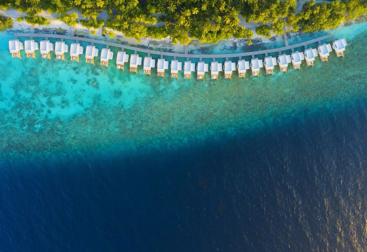 Niva Dhigali Maldives — фото 1