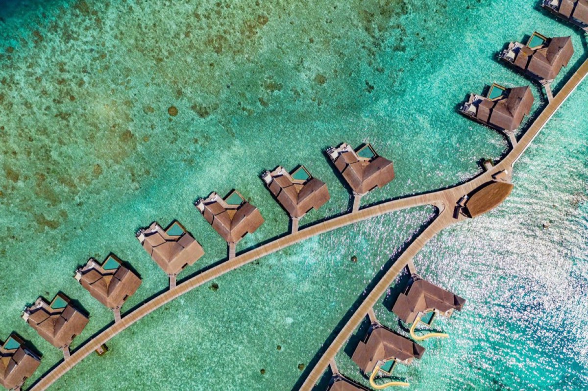 Ozen Reserve Bolifushi — фото 1