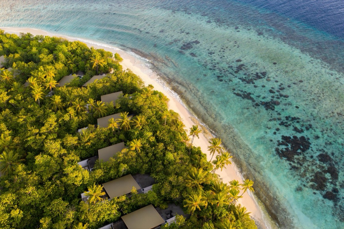 Park Hyatt Maldives Hadahaa — фото 2
